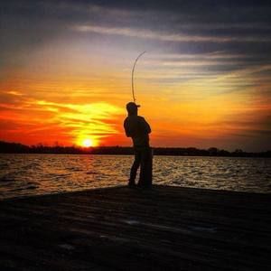 Meet your Posher, Donovan